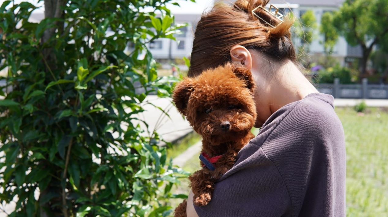 宠咕咕饮水机,宠物智能喂水器测评