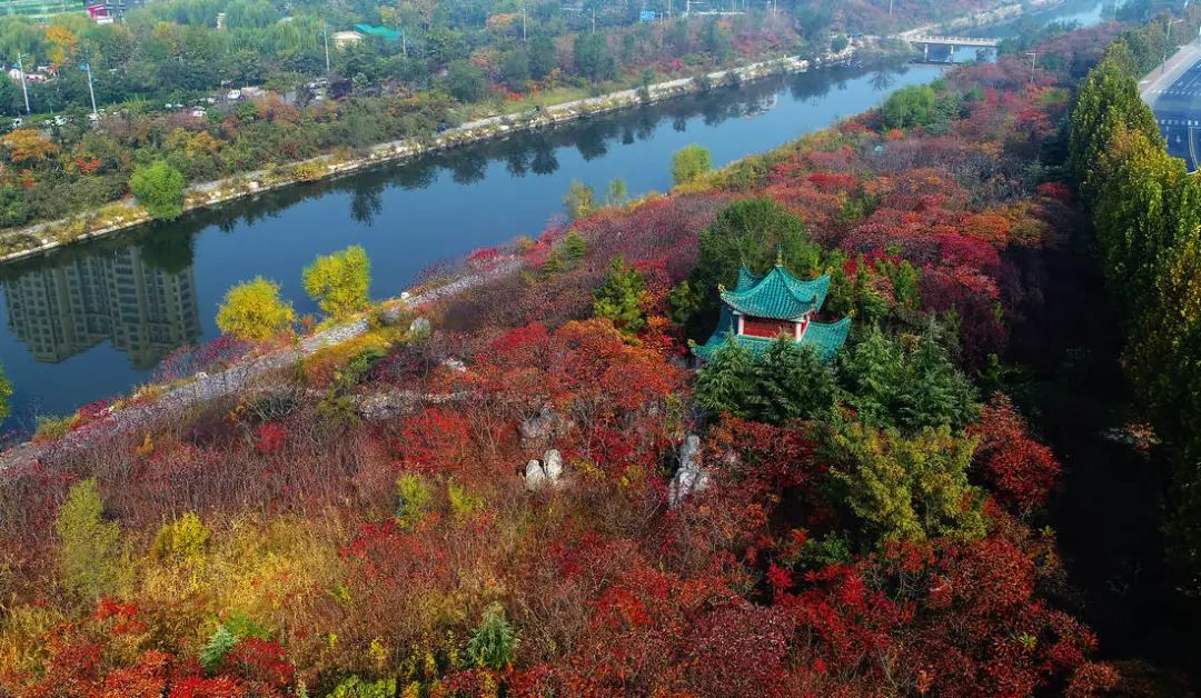 我爱我的家乡滨州市,我的家乡在滨州的作文