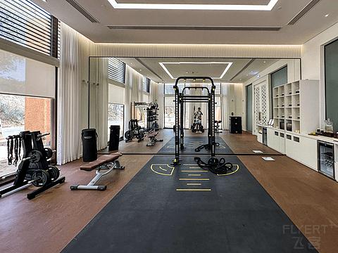 阿联酋丽思卡尔顿,阿联酋野奢帐篷