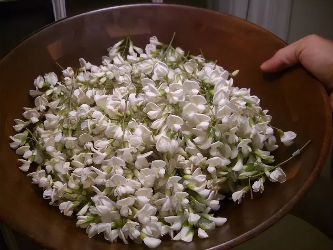 槐树的花吃了有毒吗,槐树花开花有毒吗