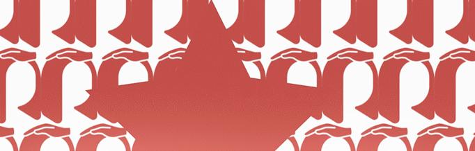 没有国籍的女人，正在小红书上用中文求救