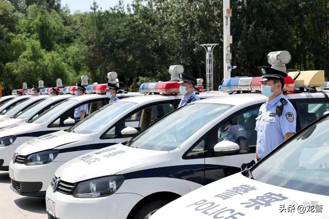 龙警十年，让高质量发展底色更亮