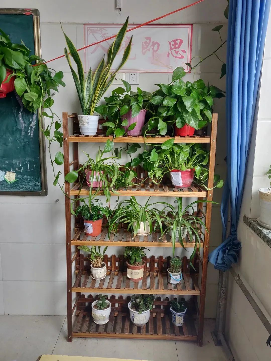 《班级公约》晒出来，班级风采秀出来——实验中学八7中队