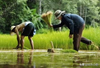 关于陆游的忧愁诗句,陆游最雄浑苍凉的一首诗
