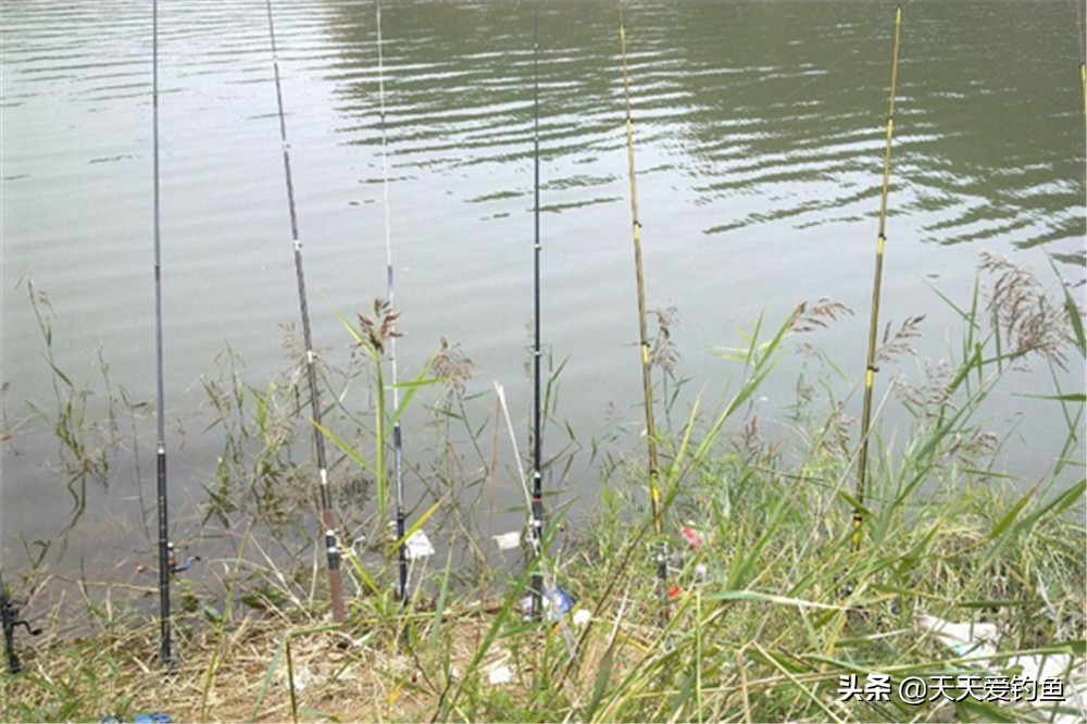 野钓串钩怎样钓鱼才是正确的,串钩钓鱼必备技巧