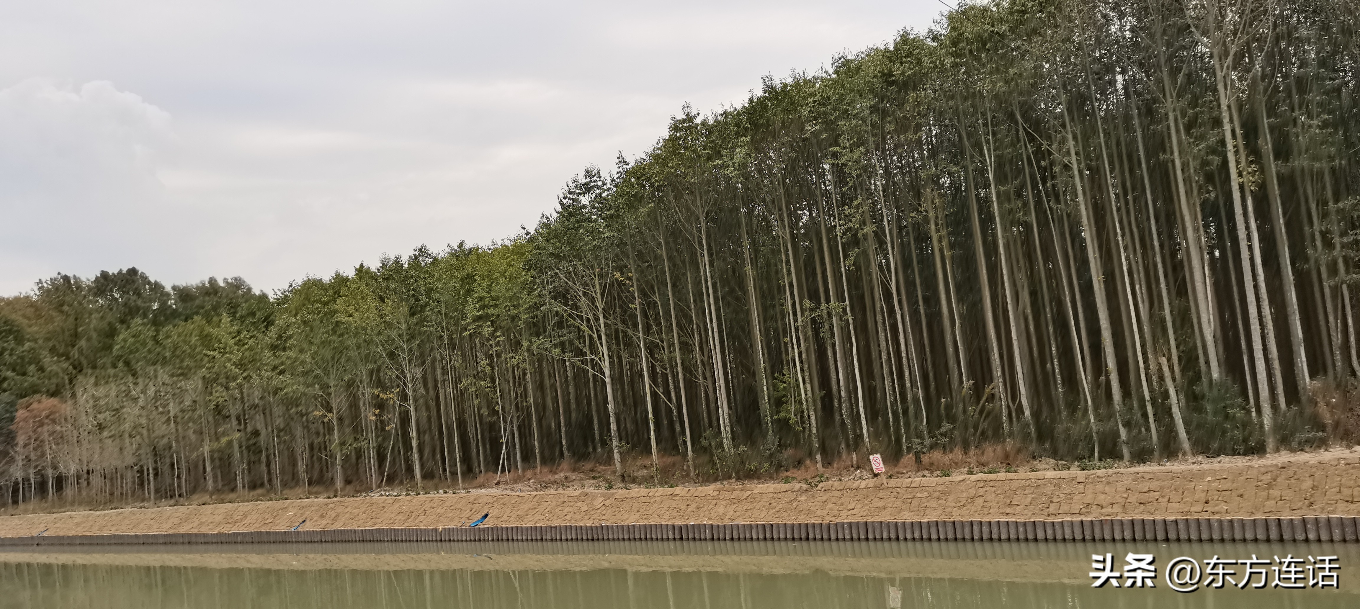 上海浦江郊野湿地公园,上海的森林公园好玩吗