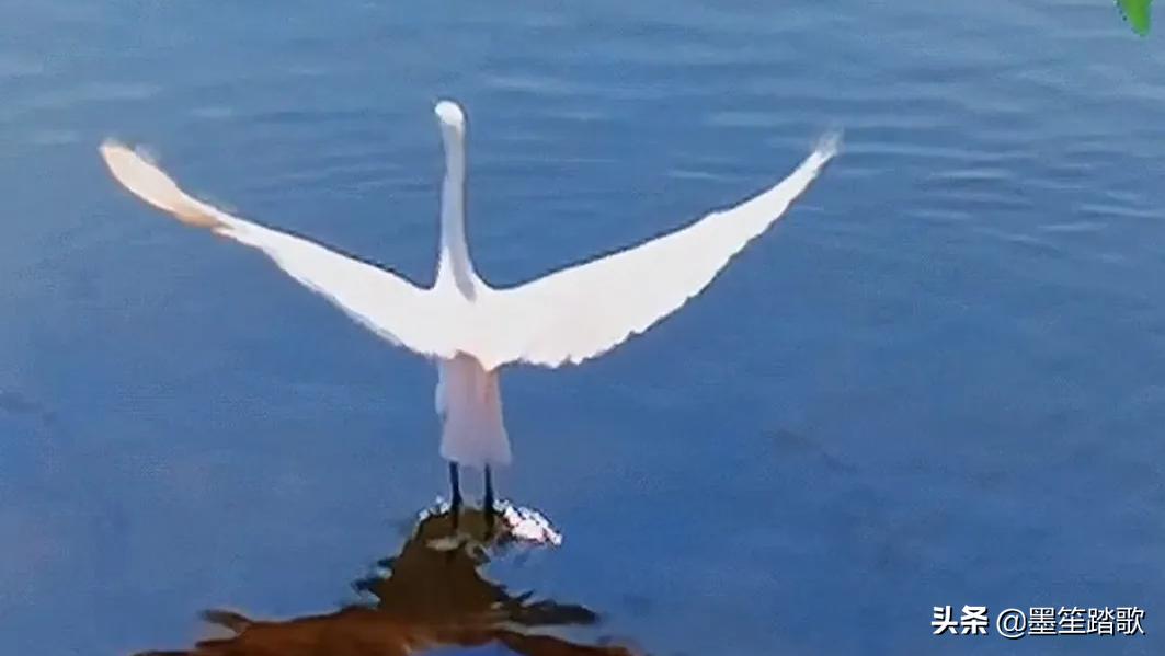 那段忘不了的记忆,那段再也回不去的记忆