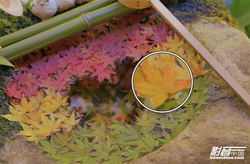 「专题」真的能看8K吗？国内外流媒体视频平台画质大比拼