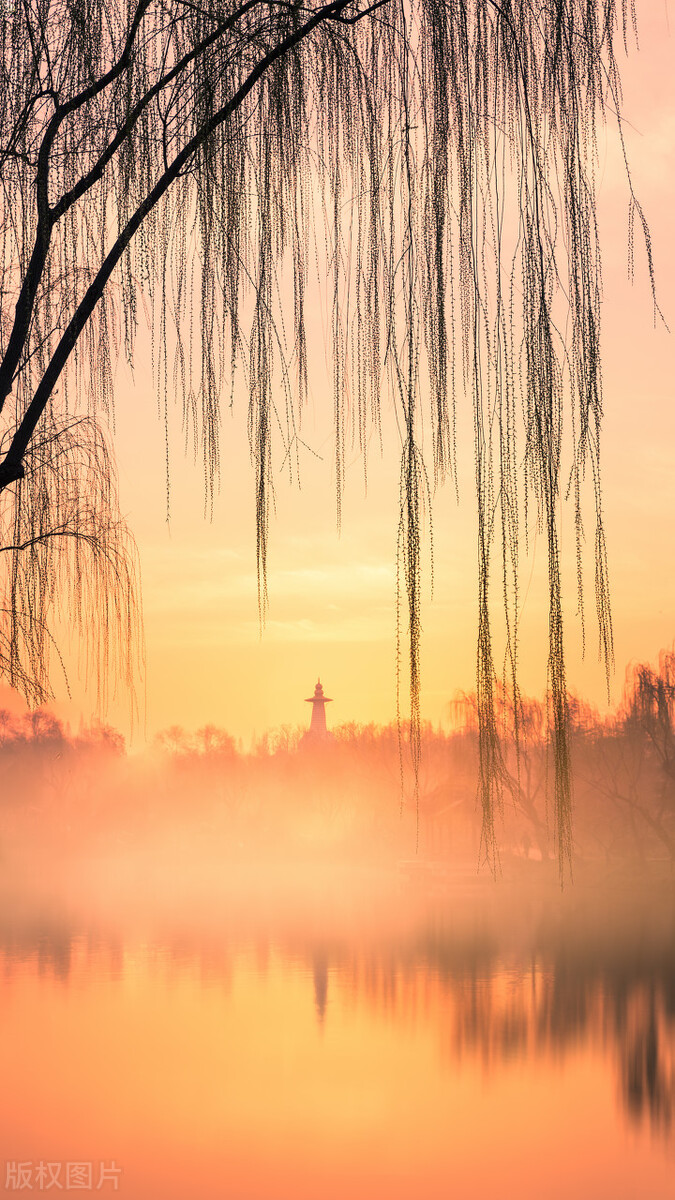 不留遗憾！很适合女性自驾的12个目的地，没去过的争取每年去2个