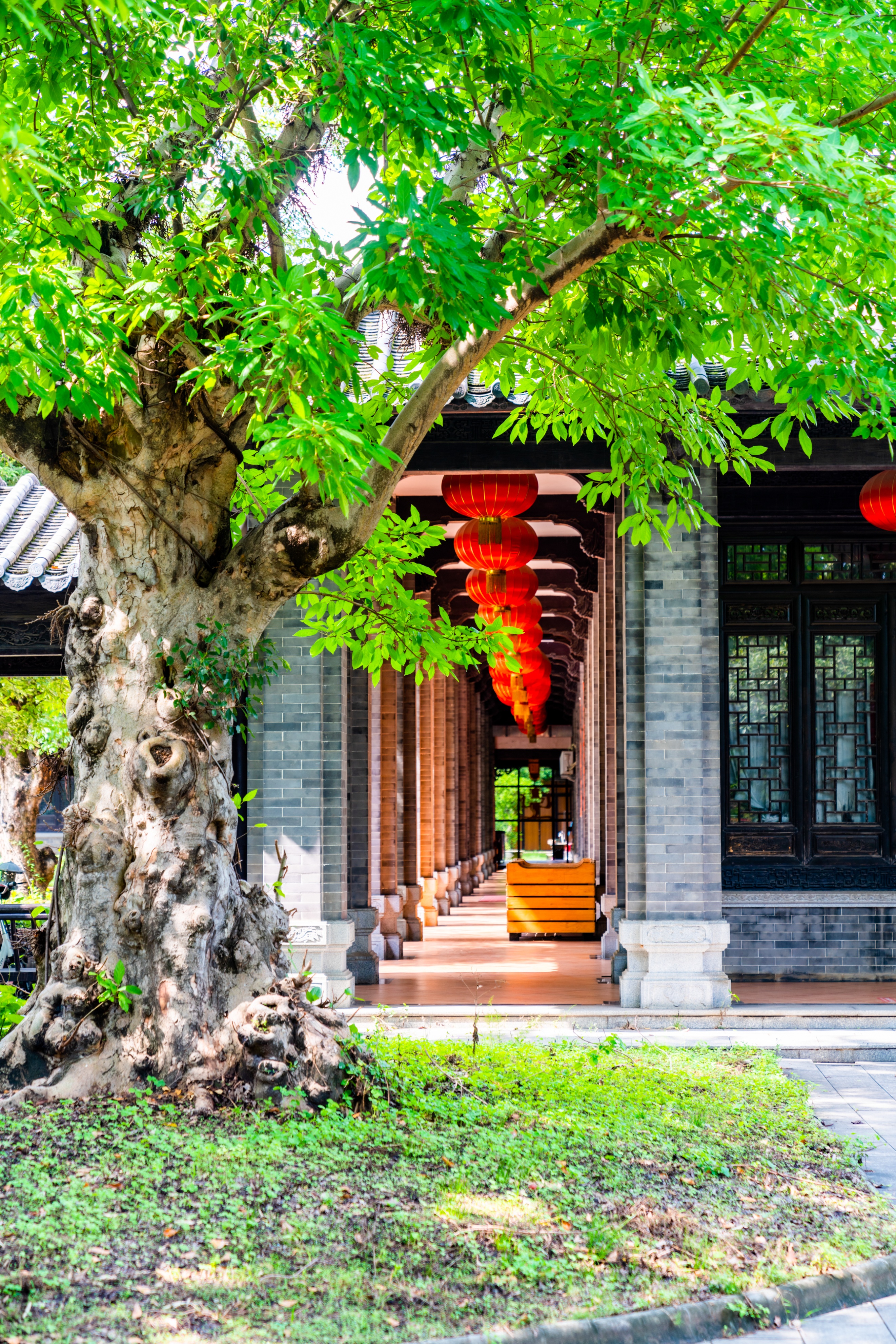 粤晖园国庆游,粤晖园自驾游攻略