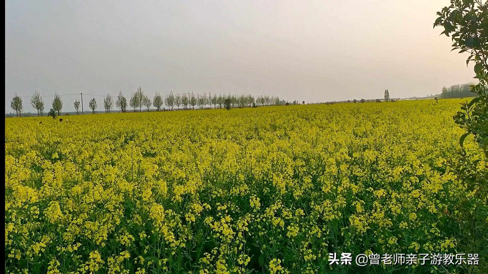 2022西安遛娃一日游的绝佳去处,2022年春节西安遛娃去哪玩最合适