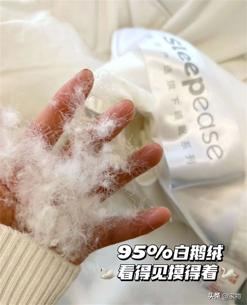 换了2次羽绒被，才搞懂几百和几千的差别在哪！全是大实话