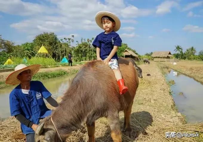 亲子农场怎样打造最省钱,亲子农场怎样设计