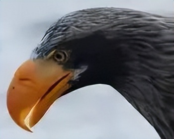 为什么像素很难再提高,像素为什么越来越低了