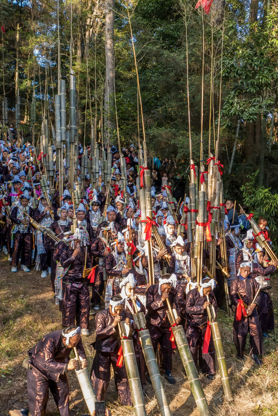 怎样才能了解中国真正的历史,怎么从头到尾了解中国的所有历史