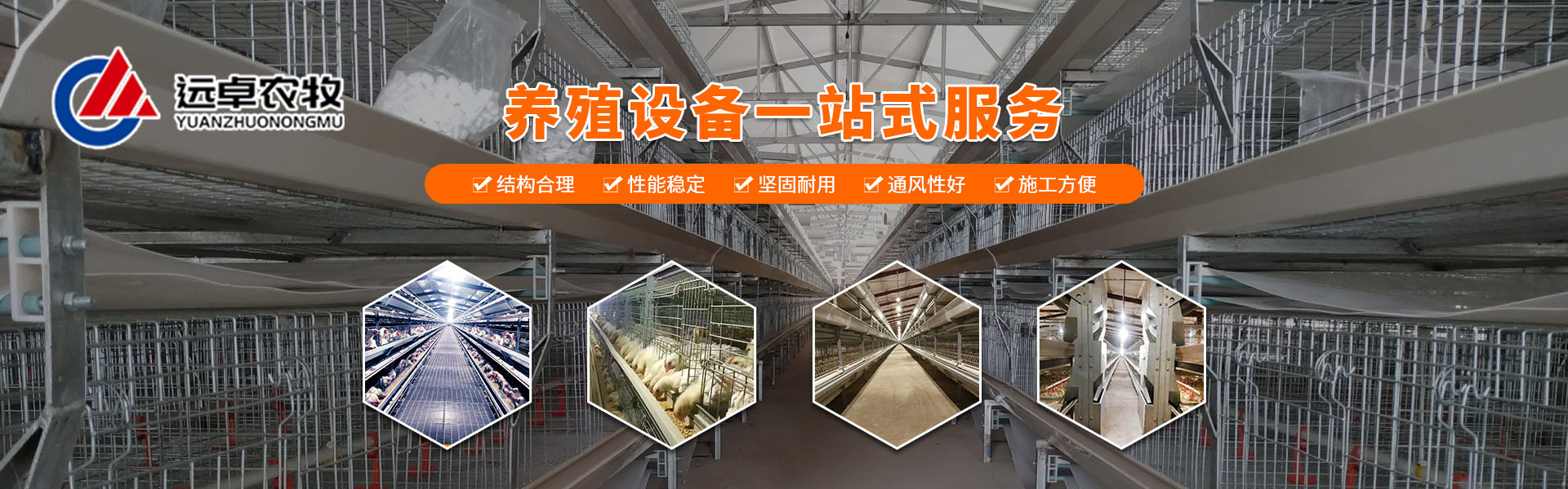 蛋鸡热应激热感冒怎么解决,笼养鸟中暑怎么办