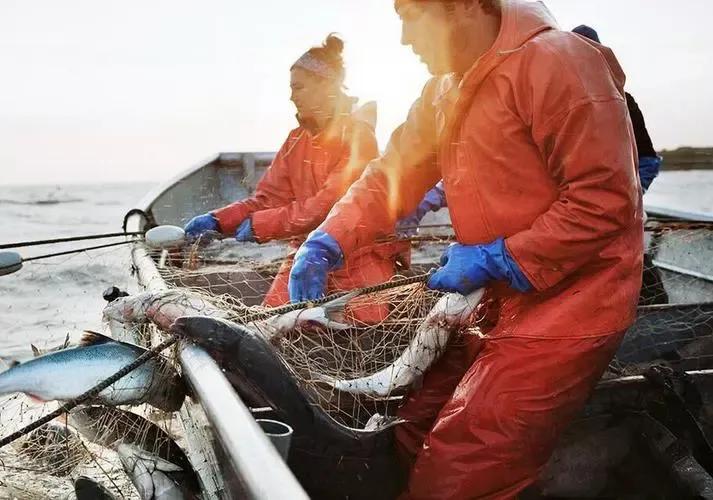 阿拉斯加被卖后悔吗,贱卖阿拉斯加的来龙去脉