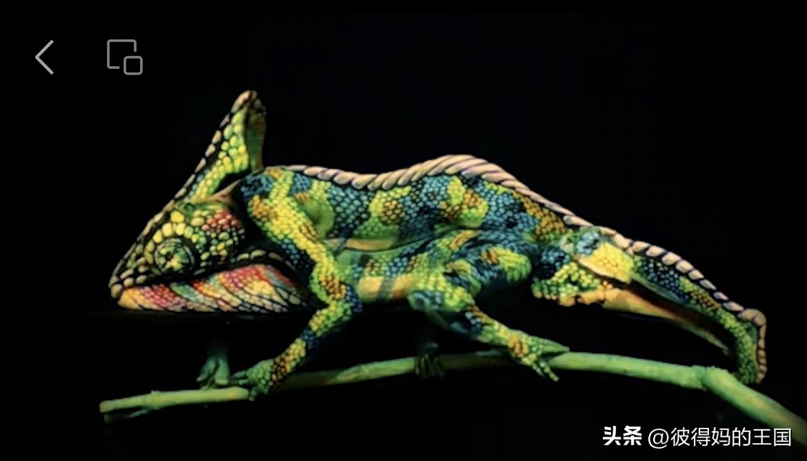 惊艳你的人体艺术！