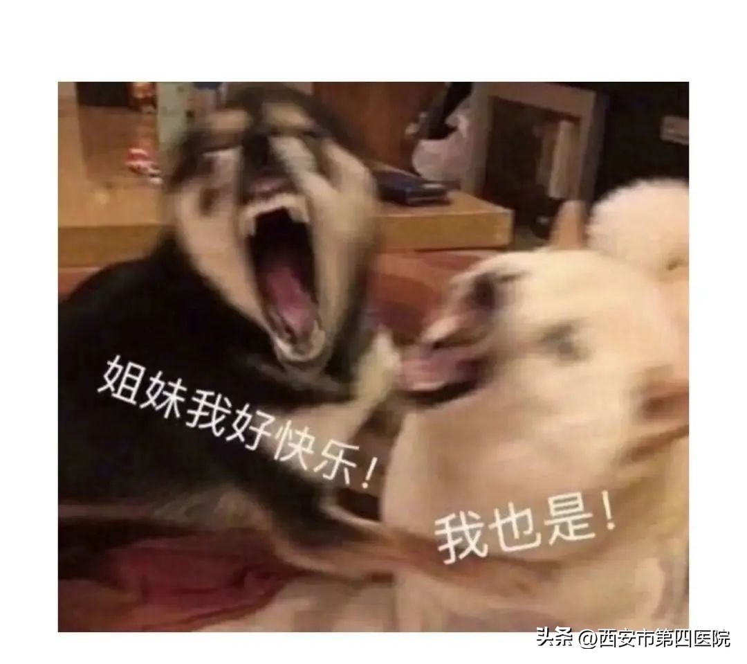 健康服务能力提升行动计划,健康素养水平提高