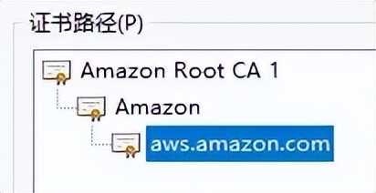 微软、苹果、亚马逊等互联网巨头的SSL中级根证书