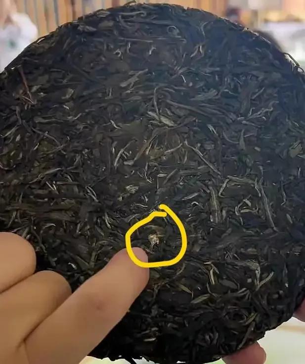 李亚鹏投资的摩托,李亚鹏投资50亿视频