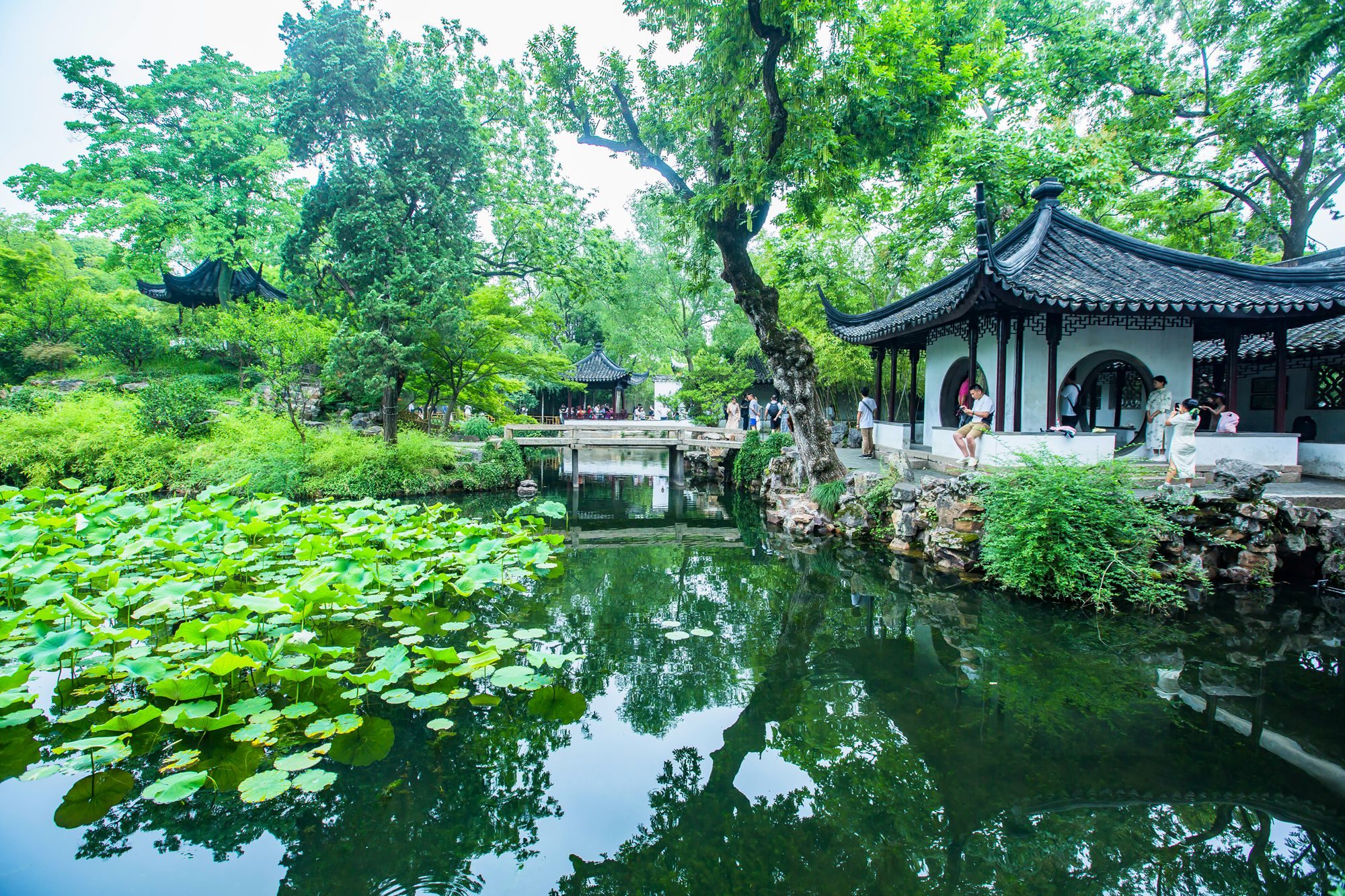 拙政园历届主人,苏州拙政园共经历多少任主人