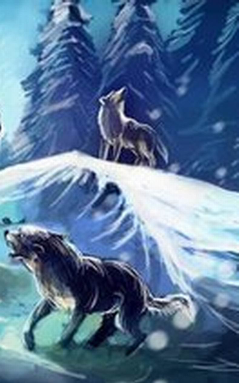 悍匪小小说,狼性小行为