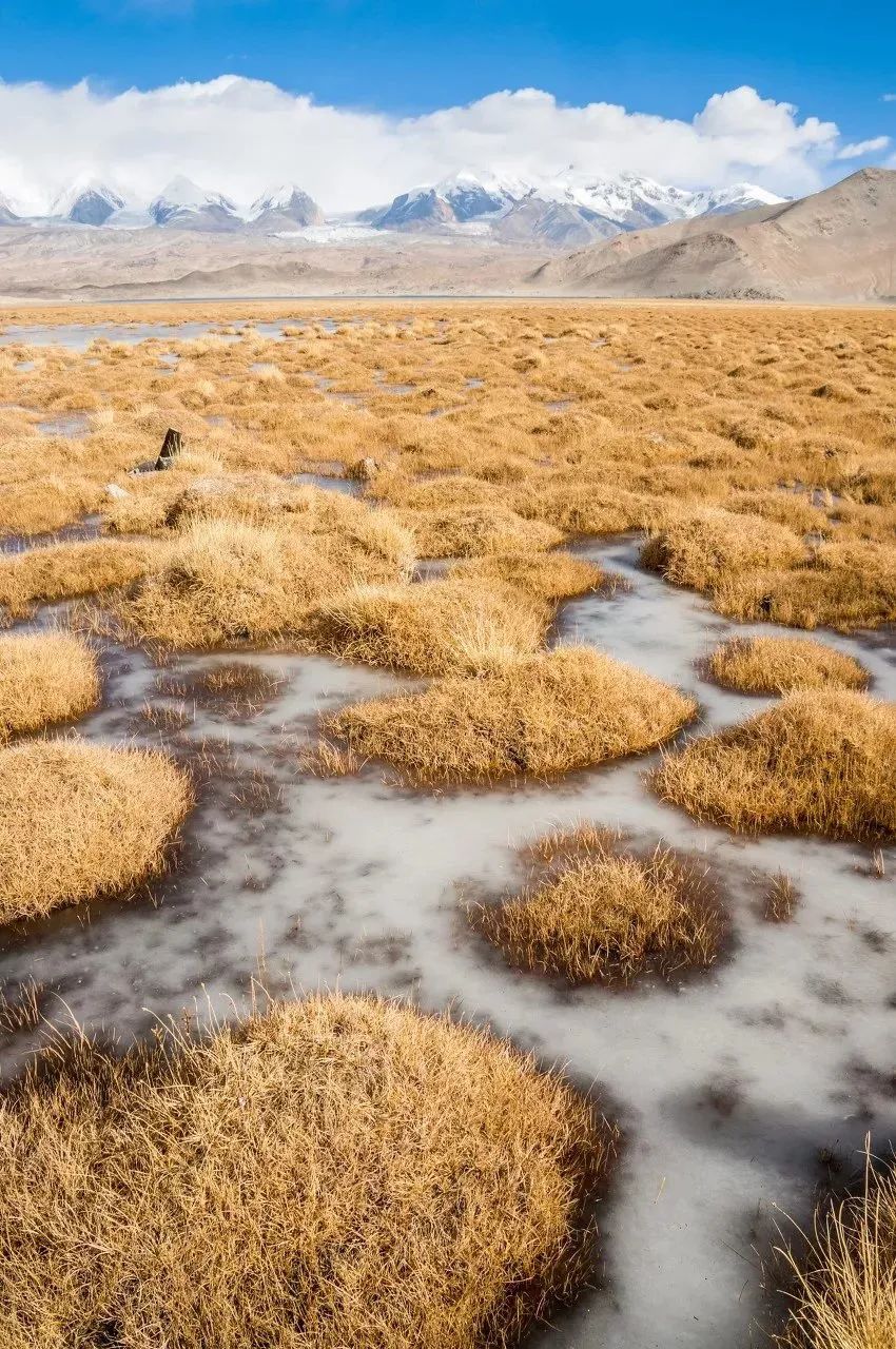 第一次南疆值得去的地方,去南疆旅行回来的感受