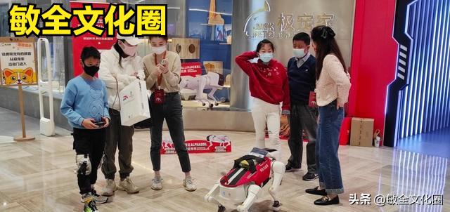 以后，我们一起去遛机器狗，相亲交友！