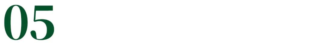 青春不过几届世界杯梅西,青春不过几届世界杯熬夜又何妨