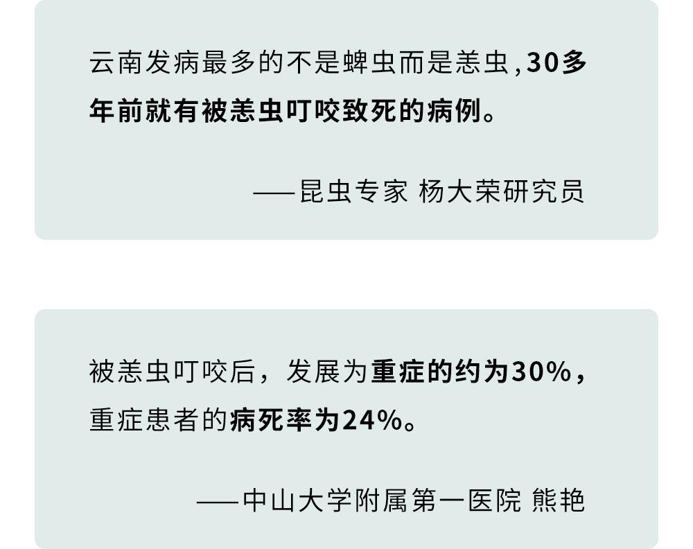 恙虫到底有多可怕？致死率极高