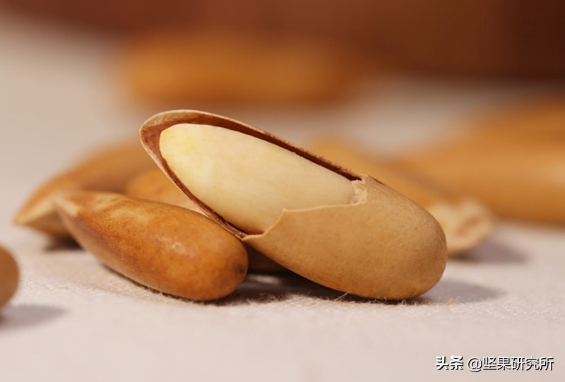 巴西松子的果是什么样的,巴西松子与东北松子营养有区别吗