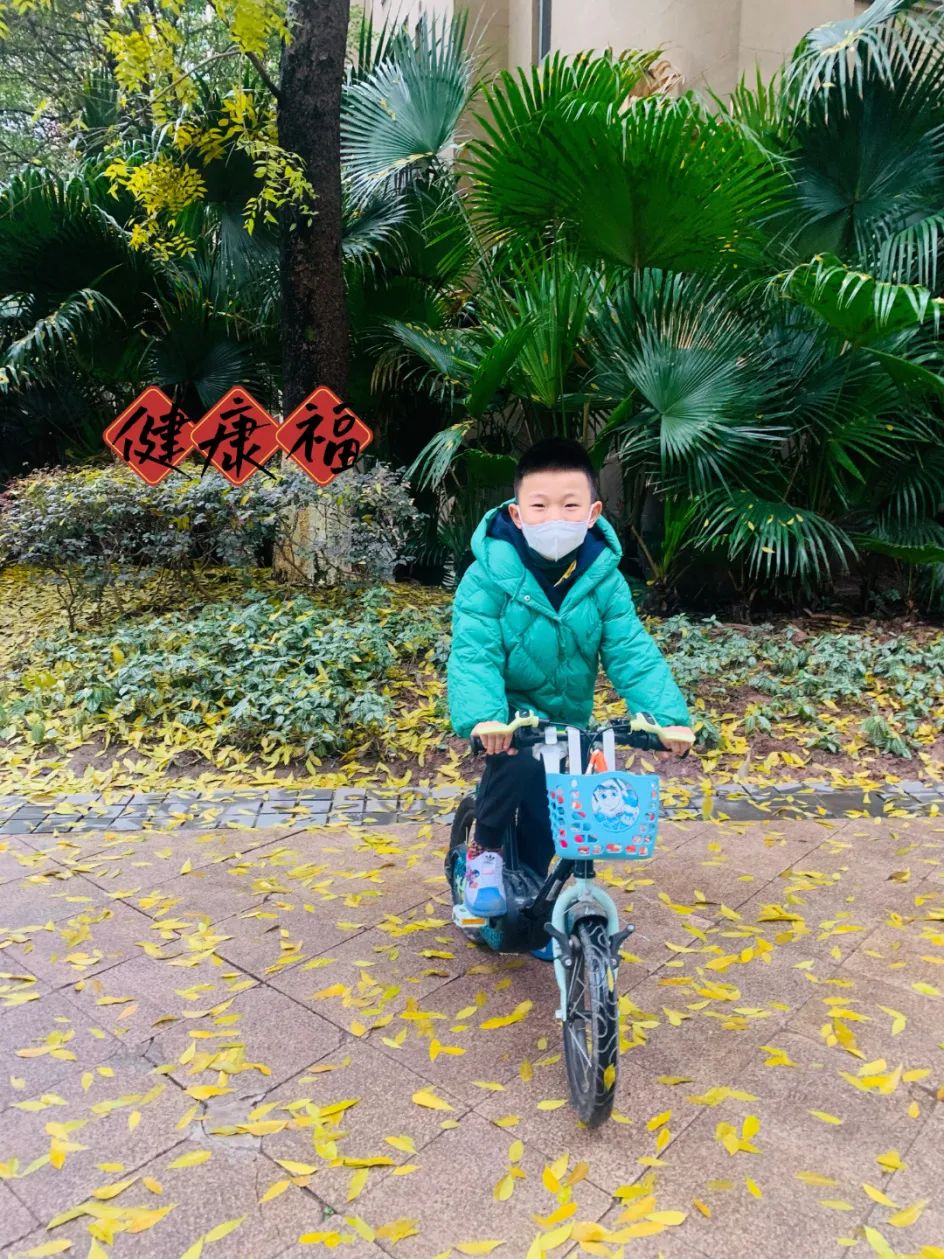 知年俗觅年味迎新年,知年味品年味迎虎年