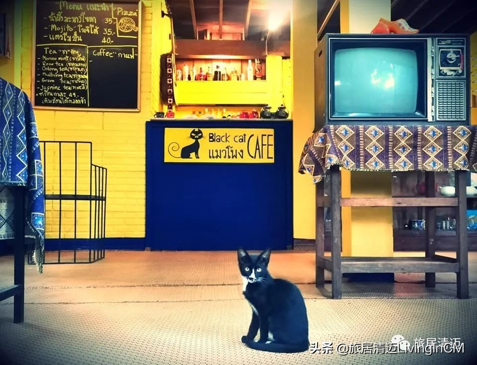 泰国清迈农场美食,清迈美食攻略必吃水果