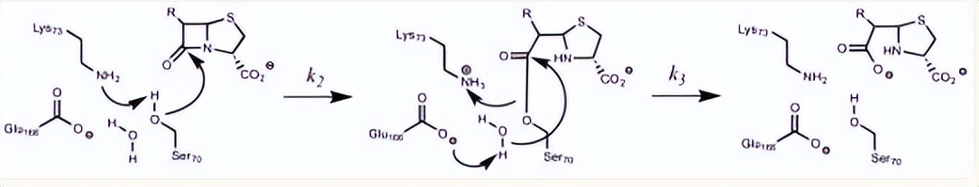 探究砷（III）物质在体外抑制氧化蛋白折叠应用