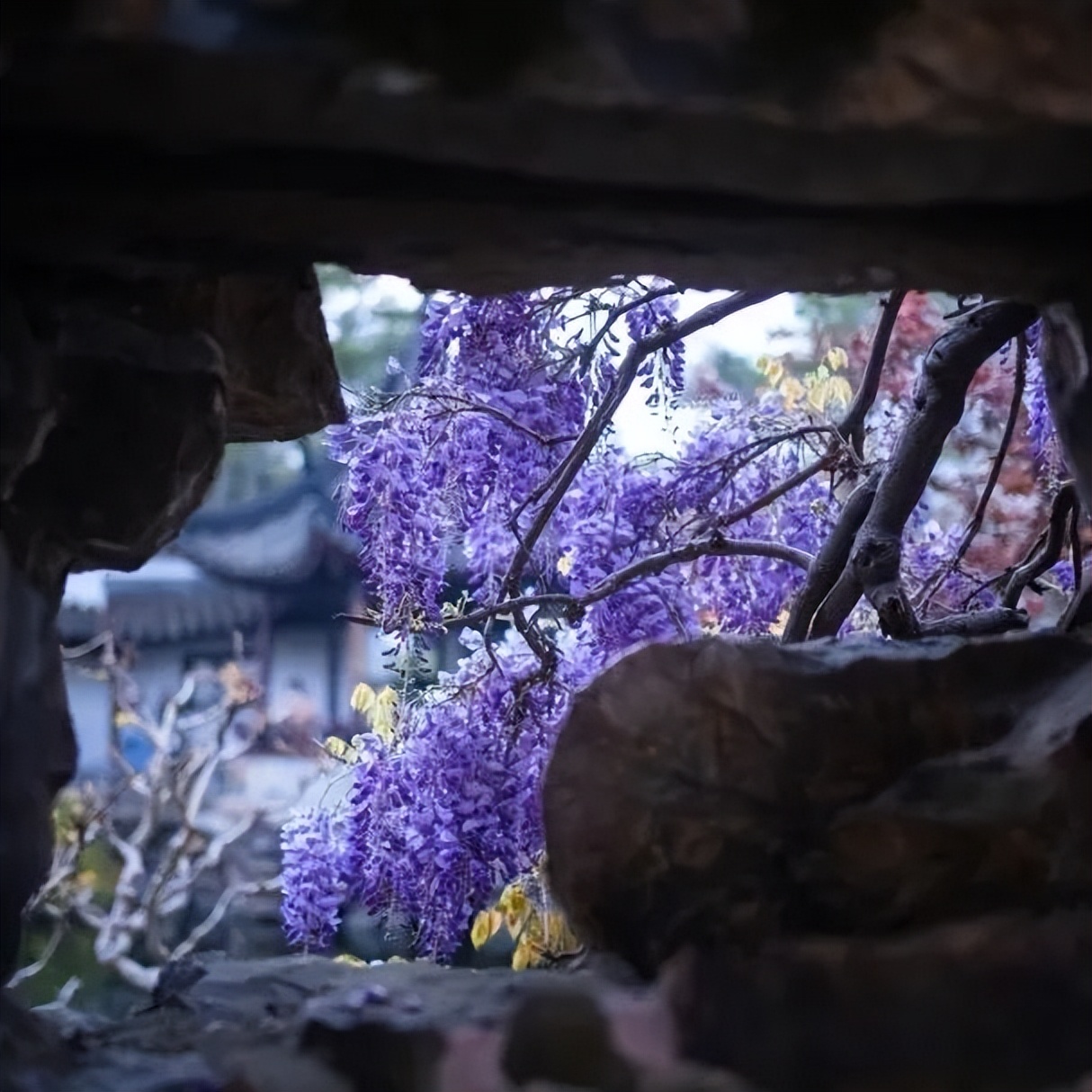 夏至如约而至白昼最长的一天,夏至夏日已至