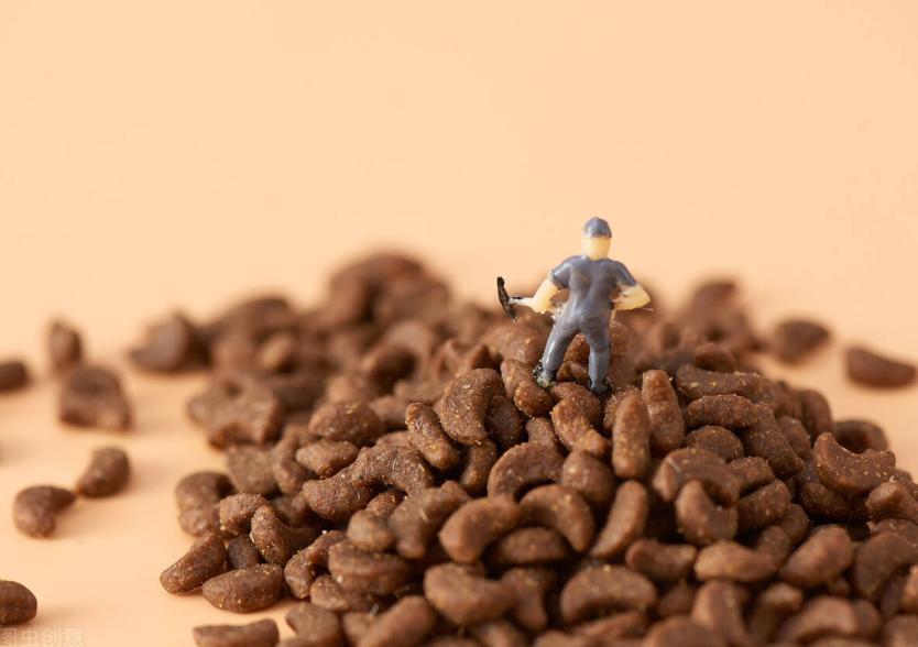 猫粮品尝师是干什么的,猫粮品尝师招聘