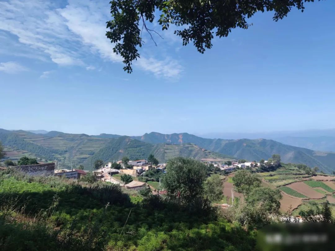 我们这十年原视频,我们这十年东乡