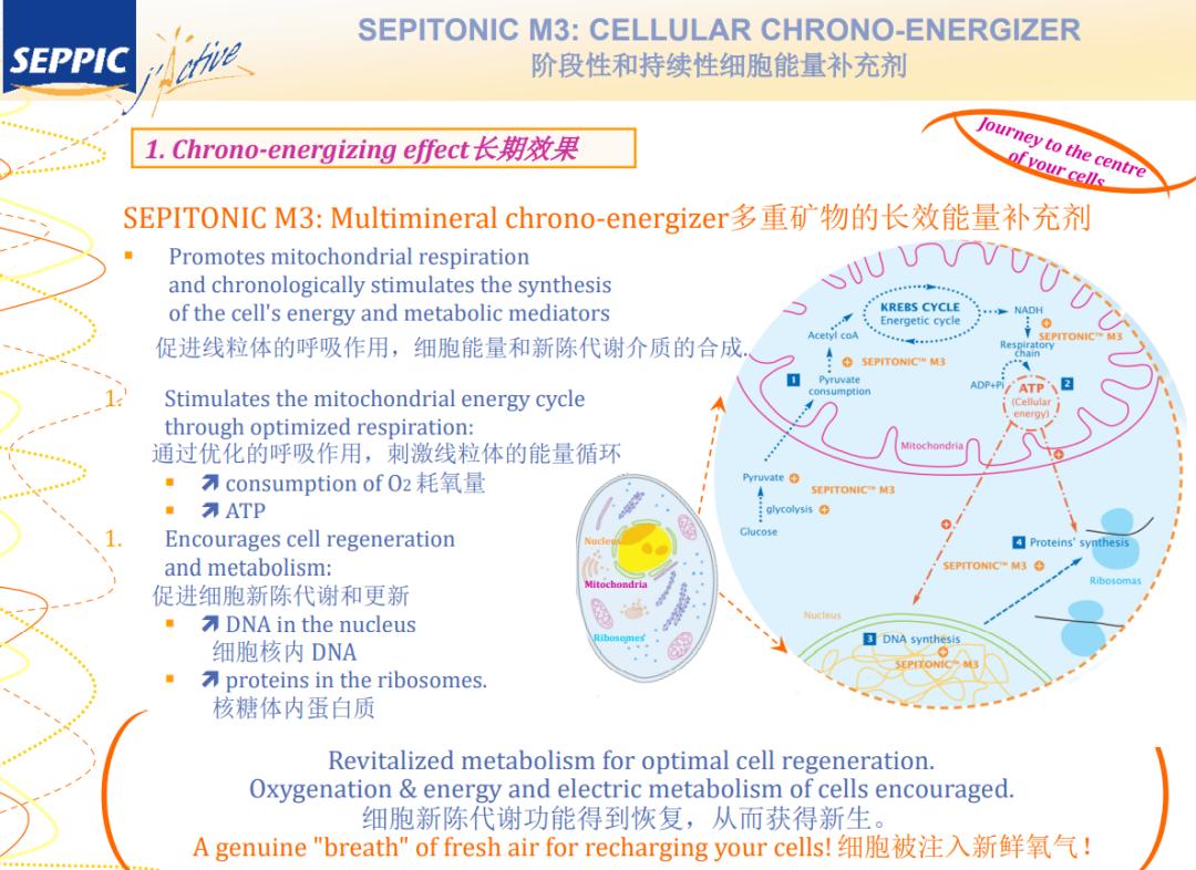 最贵的一瓶护肤品,很昂贵的护肤品