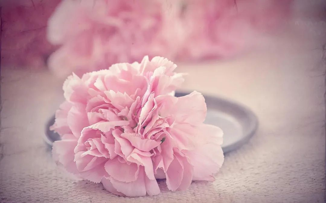 男女之间的纯洁友谊是懂得不越界,男女之间纯洁的友谊越界了怎么办