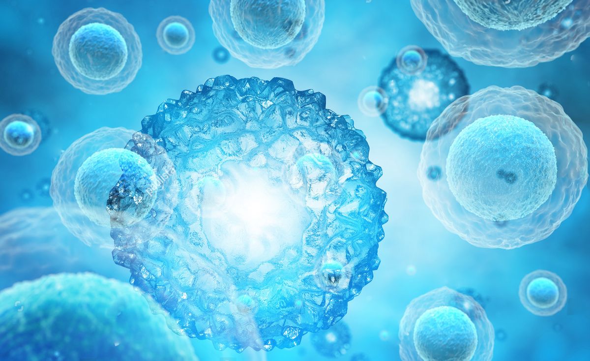 黄瓜基因组数据库怎么查基因序列,黄瓜花叶病毒基因序列