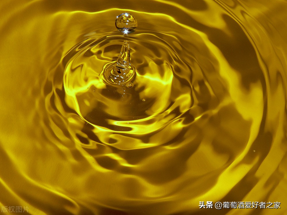 法国罗纳河谷产区葡萄酒分级,品酒最详细的法国葡萄酒分级制度