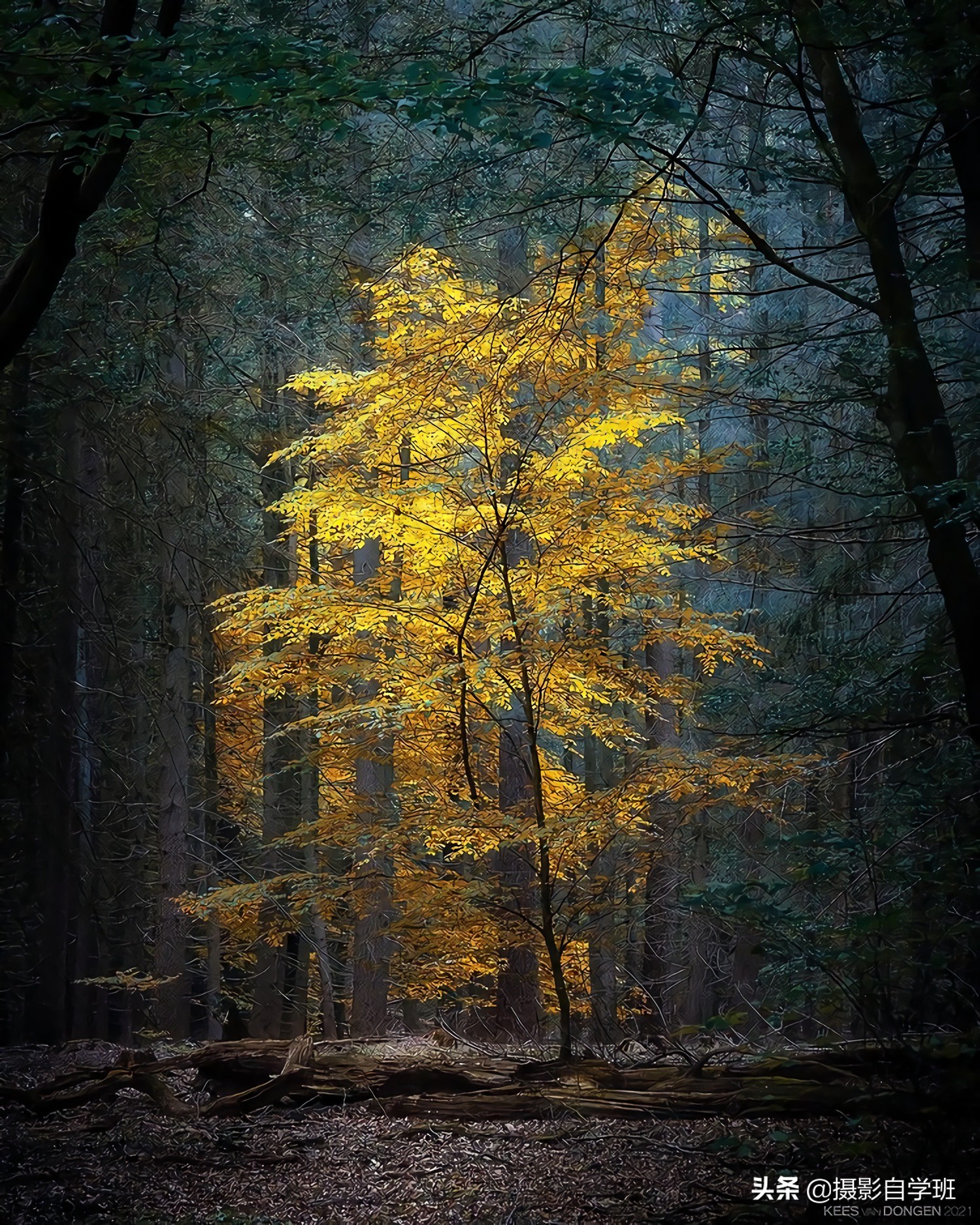 摄影入门教你轻松拍大片,摄影初学学会这几招就能拍美照