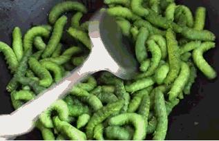 要去加拿大留学准备什么,为了去加拿大留学你做了哪些准备