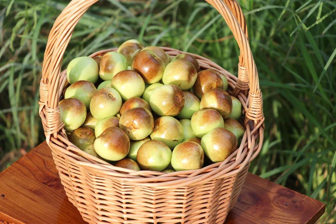 倒计时4天！2023大荔农业电商短视频直播实战班培训来了