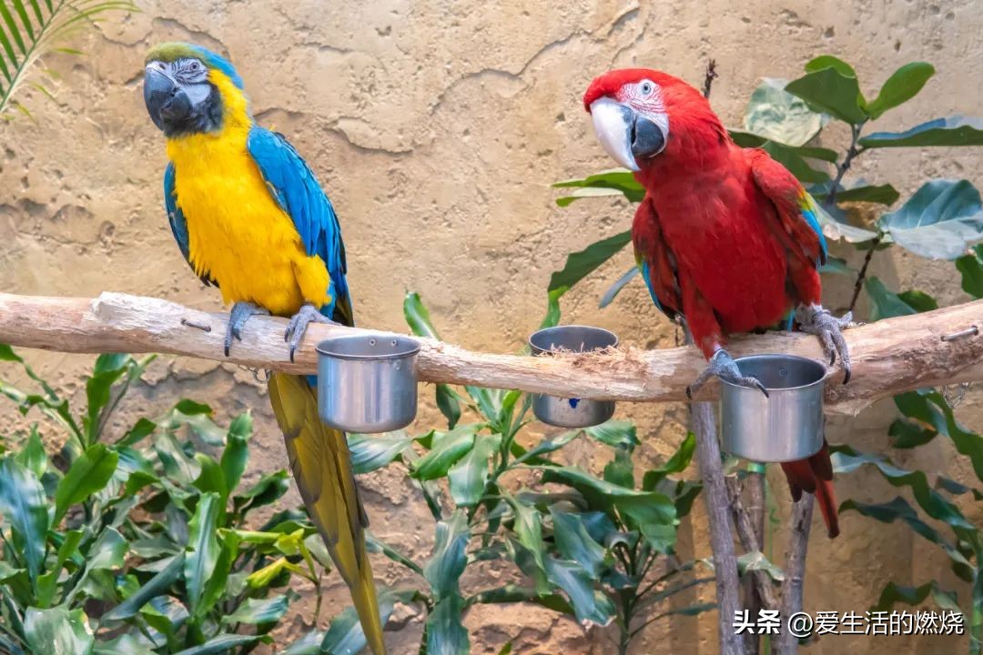 杭州森泊开元度假酒店不含门票,杭州开元森泊度假酒店存在的问题