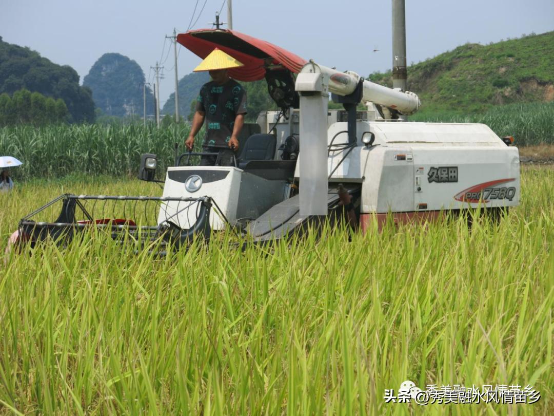 【2022年工作亮点展示】乡镇系列第一组：融水、永乐、和睦、四荣、香粉、怀宝、三防、汪洞、同练、滚贝