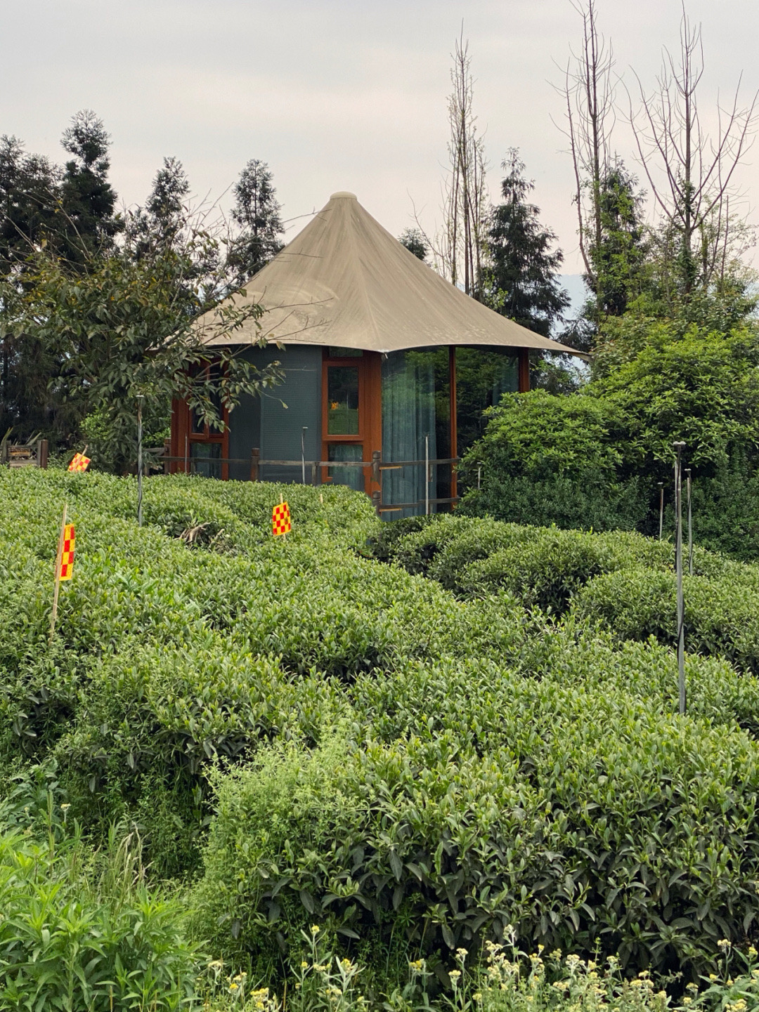 成都近郊一个小众禅意古镇,成都茶山古镇图片