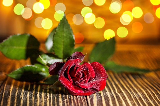 想要幸福的男人如何向女人表白,男人怎么向女的求婚