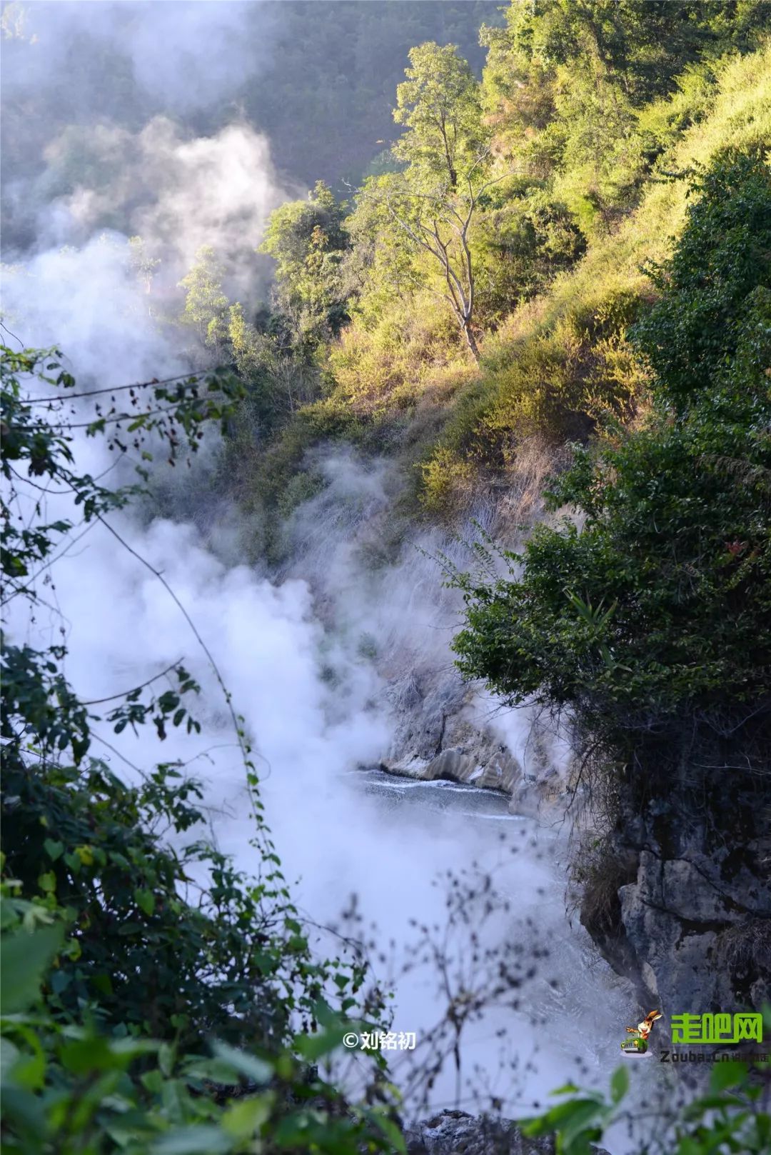 年度最佳22℃暖冬小城!全国唯一半城银杏,半城温泉!现在来刚好